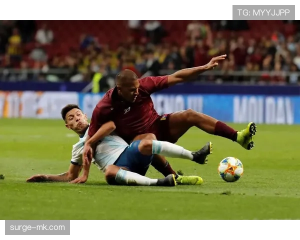 利桑德罗·马丁内斯世界杯决赛表现解析 利桑德罗·马丁内斯世界杯决赛表现解析