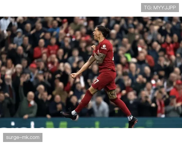 努涅斯终结能力与战术角色解析